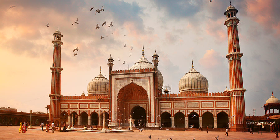 Enjoy a guided tour of India’s vibrant capital, Delhi