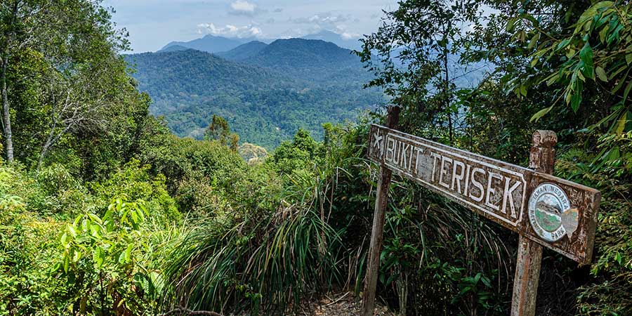 Taman Negara National Park